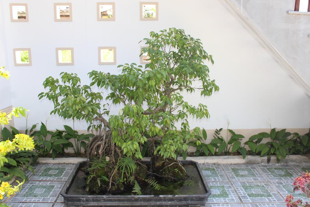 הוי אן Hoian Joy Homestay מראה חיצוני תמונה