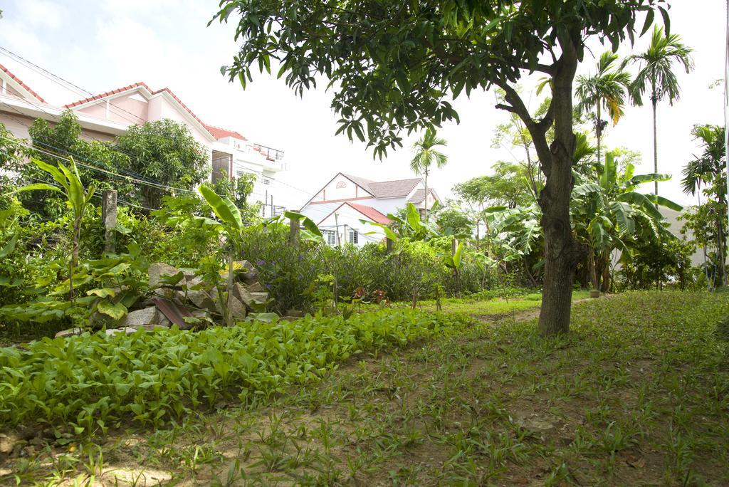 הוי אן Hoian Joy Homestay מראה חיצוני תמונה