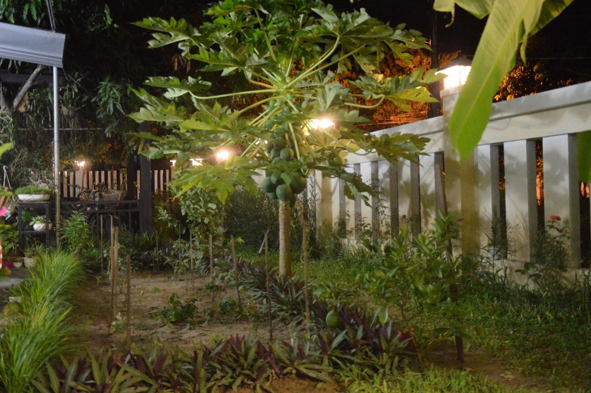 הוי אן Hoian Joy Homestay מראה חיצוני תמונה